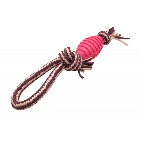 ΠΑΙΧΝΙΔΙ ΣΚΥΛΟΥ ΜΕ ΕΛΑΣΤΙΚΟ ΣΧΟΙΝΙ ΛΑΒΗ Κ' ΛΑΣΤΙΧΕΝΙΑ ΜΠΑΛΑ ΣΕ 3 ΧΡΩΜΑΤΑ 42CM